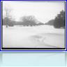 Another one from our snowstorm in December.