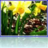 Spring has sprung!